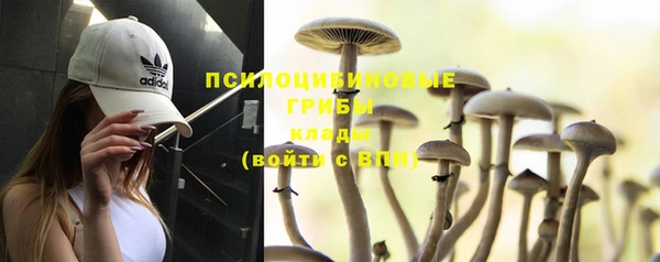 ГАЛЛЮЦИНОГЕННЫЕ ГРИБЫ Володарск